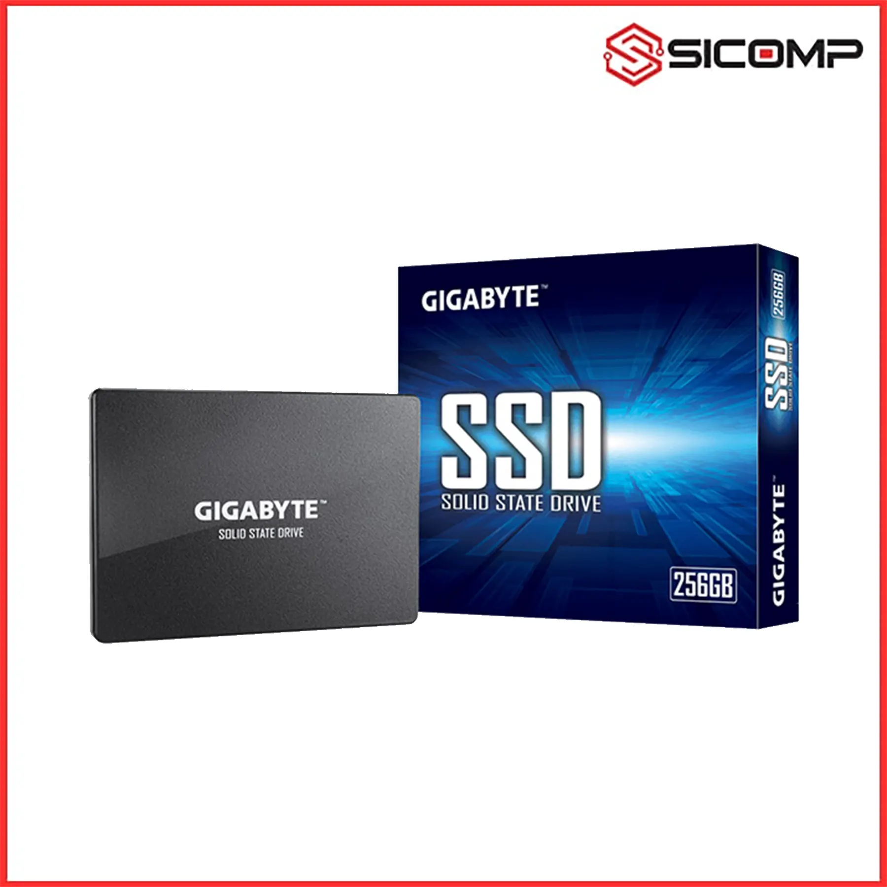 Ổ CỨNG SSD GIGABYTE GP-GSTFS31256GTND 256GB